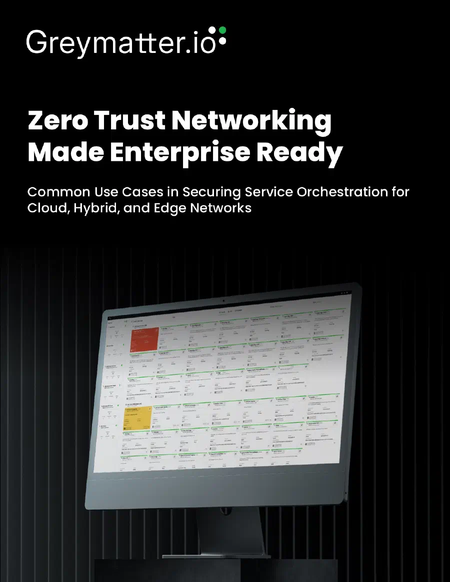 First page of Zero Trust Networking Made Enterprise Ready